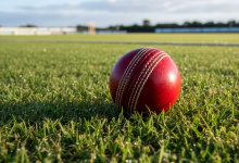Close-up of a vibrant red cricket ball on a grass field, ideal for sports themes.