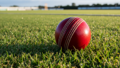 Close-up of a vibrant red cricket ball on a grass field, ideal for sports themes.